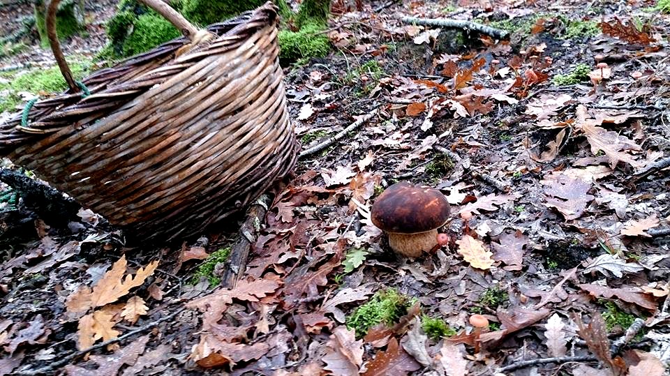 I prodotti della terra