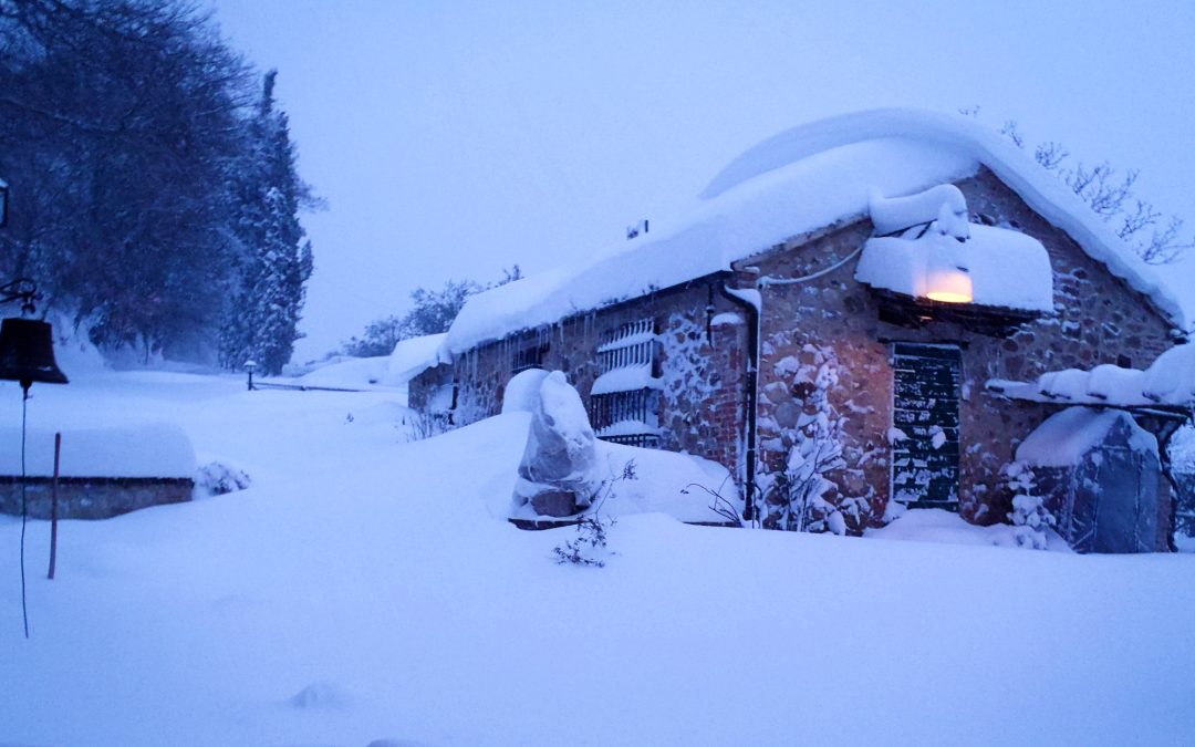 D’inverno